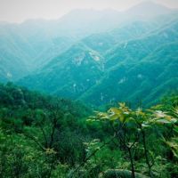 湖南嚴控采砂場(chǎng)使用林地審批 使用結束后一年內需復綠