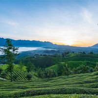 500萬(wàn)噸/年！湖北儲量約1.12億噸建筑用花崗巖礦擬掛牌出讓